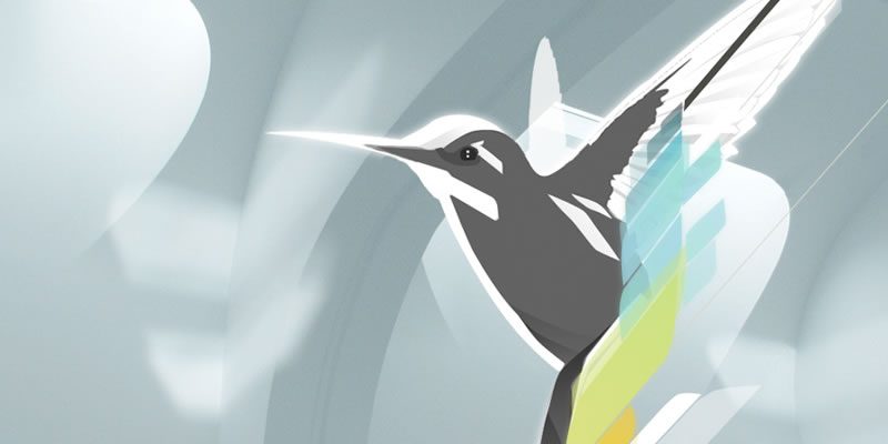 De flor em flor à procura de néctar, o colibri acaba fazendo a polinização necessária para transformar a flor em fruto.